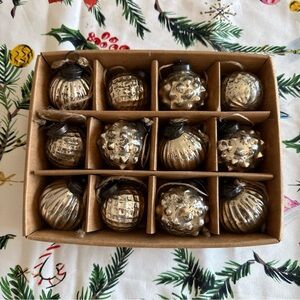 New Silver Mercury Glass Ornament Set